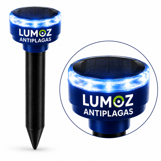 Luz nocturna incluida